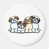 Shih Tzu Quartet Magneet (Voorkant)