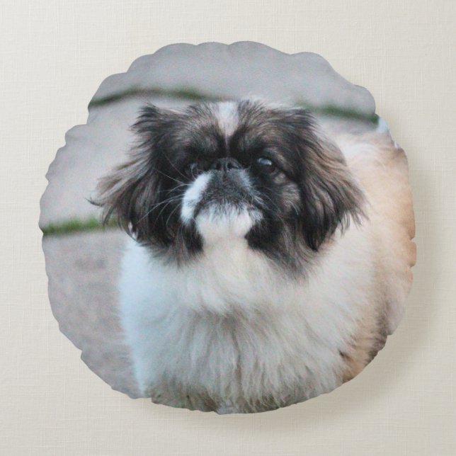 Shih Tzu Rond Kussen (Voorkant)