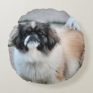 Shih tzu rond kussen