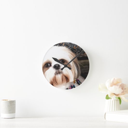 Shih Tzu Ronde Klok (Huis)