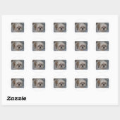 Shih Tzu Ronde Sticker (Vel)