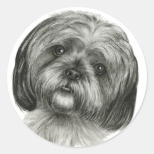 Shih Tzu Ronde Sticker