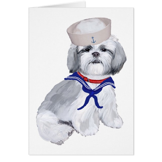 Shih Tzu Sailor (Voorkant)