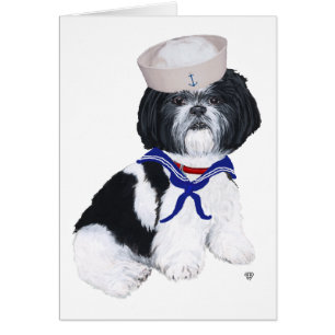 Shih Tzu Sailor