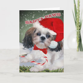 Shih Tzu Santa Paws Feestdagen Kaart