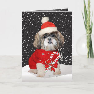 Shih Tzu Santa Seizoen Groeten Feestdagen Kaart