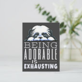 Shih Tzu Schattig Briefkaart (Staand voorkant)