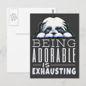 Shih Tzu Schattig Briefkaart (Voorkant / Achterkant)