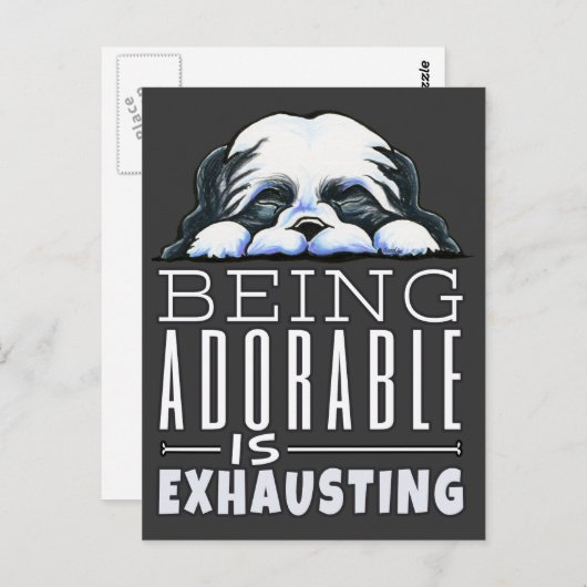 Shih Tzu Schattig Briefkaart (Voorkant / Achterkant)