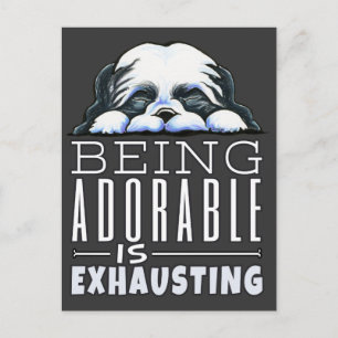 Shih Tzu Schattig Briefkaart