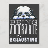 Shih Tzu Schattig Briefkaart (Voorkant)
