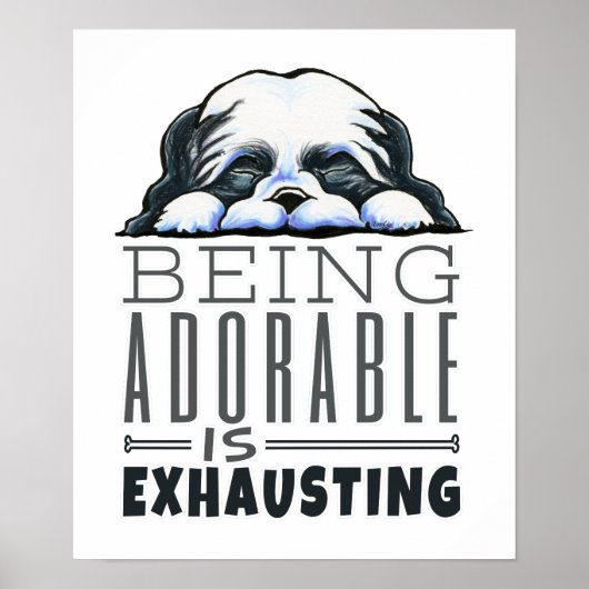 Shih Tzu Schattig Poster (Voorkant)