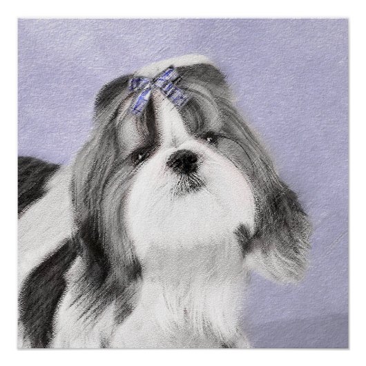 Shih Tzu schilderen - Kute Original Dog Art Perfect Poster (Voorkant)