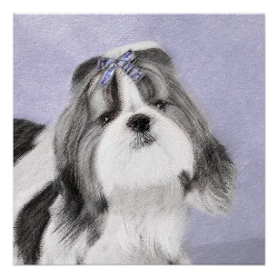 Shih Tzu Schilderij - Mooie Originele Honden Kunst Perfect Poster