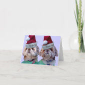 Shih Tzu - Shih Twee Feestdagen Kaart (Voorkant)