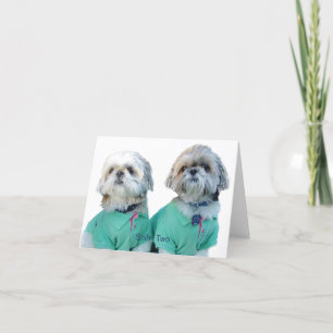 Shih Tzu - Shih Twee Wenskaart Kaart