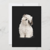 Shih Tzu | Shih Tzu Puppy Gift Bedankkaart (Voorkant)