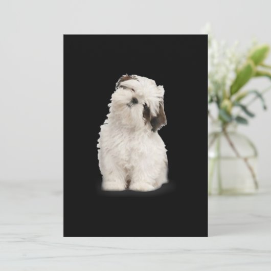 Shih Tzu | Shih Tzu Puppy Gift Bedankkaart (Staand voorkant)