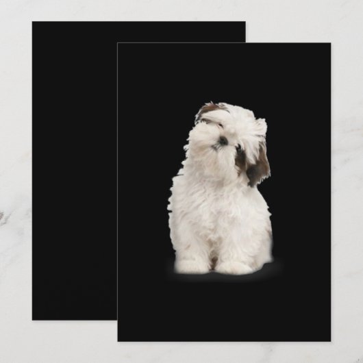 Shih Tzu | Shih Tzu Puppy Gift Bedankkaart (Voorkant / Achterkant)