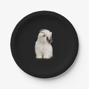 Shih Tzu   Shih Tzu Puppy Gift Papieren Bordje