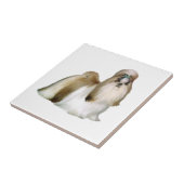 Shih Tzu (Showstand) Tegeltje (Zijkant)