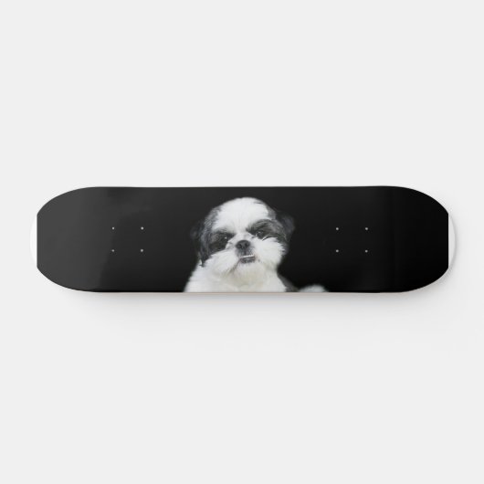 Shih Tzu skateboard (Horizontaal)
