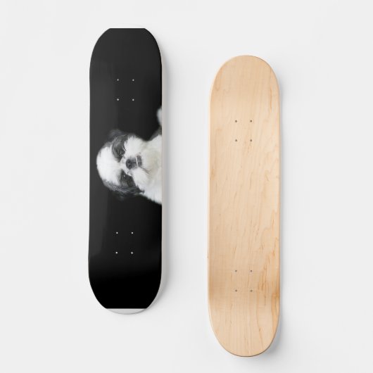 Shih Tzu skateboard (Voorkant)