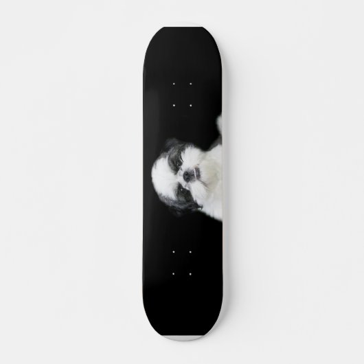 Shih Tzu skateboard (Voorkant)