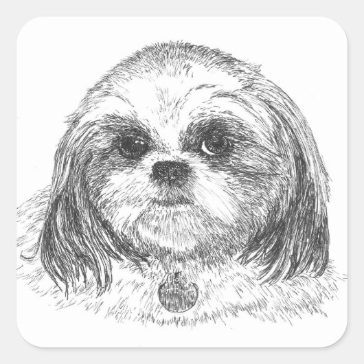 Shih Tzu Square Sticker (Voorkant)