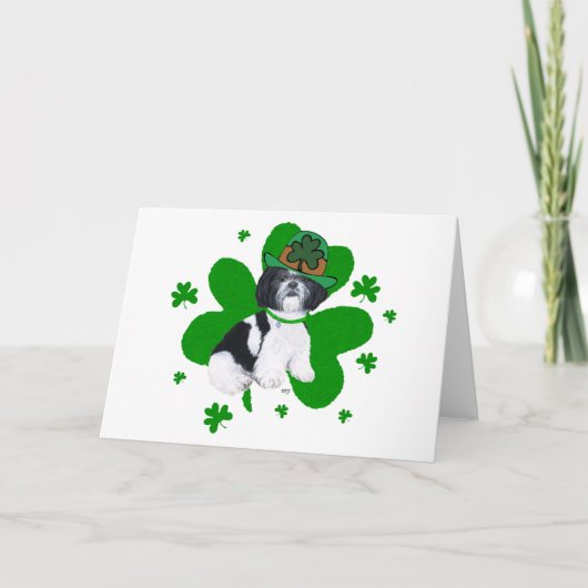 Shih Tzu St. Patrick's Dag Kaart (Voorkant)