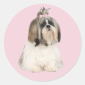 Shih Tzu Sticker (Voorkant)