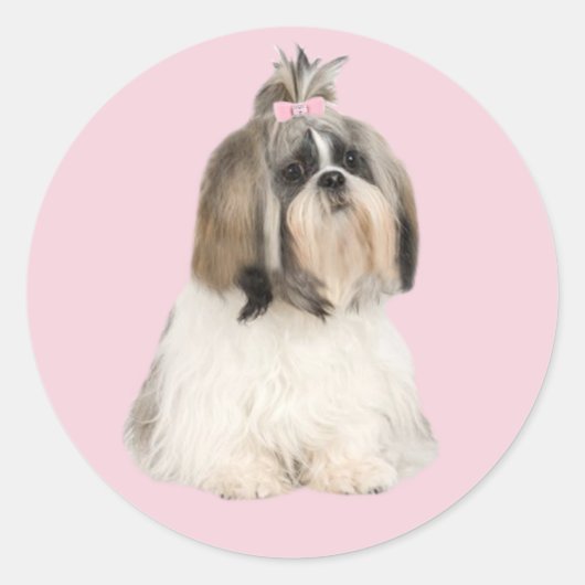 Shih Tzu Sticker (Voorkant)