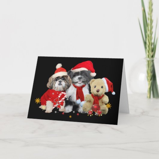 Shih Tzu & Teddy Bear Xmas Kaart (Voorkant)