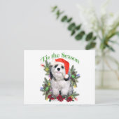 Shih Tzu "Tis Briefkaart (Staand voorkant)
