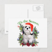 Shih Tzu "Tis Briefkaart (Voorkant / Achterkant)