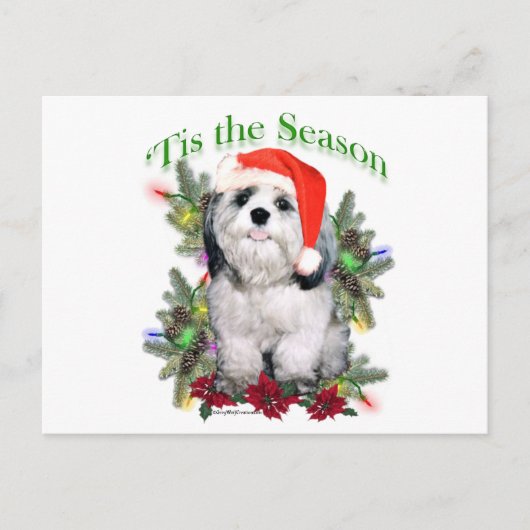 Shih Tzu "Tis Briefkaart (Voorkant)