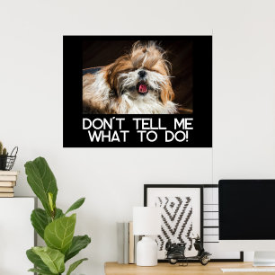 Shih tzu tong grappig Vertel me niet wat ik moet d Poster