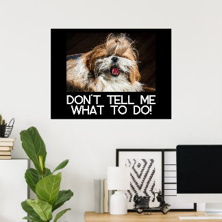 Shih tzu tong grappig Vertel me niet wat ik moet d Poster