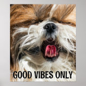 Shih tzu tong grappige vibes aangepaste tekst poster (Voorkant)