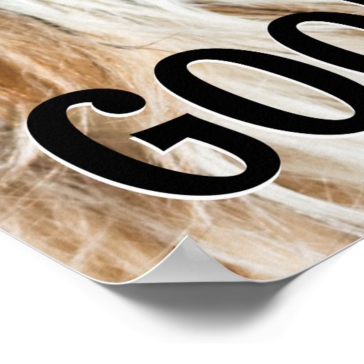 Shih tzu tong grappige vibes aangepaste tekst poster (Hoek)