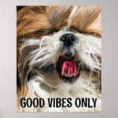 Shih tzu tong grappige vibes aangepaste tekst poster (Voorkant)