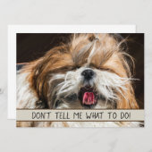 Shih tzu tongue grappig Vertel me niet wat ik moet (Voorkant / Achterkant)