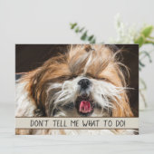 Shih tzu tongue grappig Vertel me niet wat ik moet (Staand voorkant)