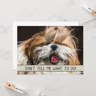 Shih tzu tongue grappig Vertel me niet wat ik moet
