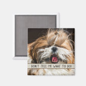 Shih tzu tongue grappig Vertel me niet wat ik moet Magneet (Voorkant / Achterkant)