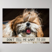 Shih tzu tongue grappig Vertel me niet wat ik moet Poster (Voorkant)