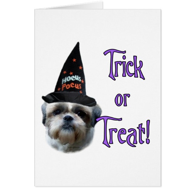 Shih Tzu Trick (Voorkant)