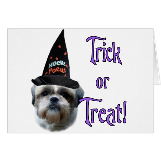 Shih Tzu Trick (Voorkant Horizontaal)