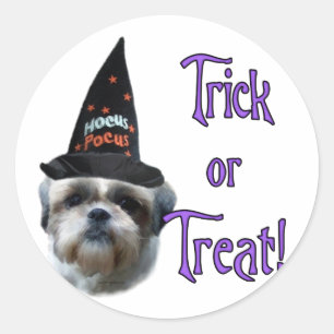 Shih Tzu Trick Ronde Sticker