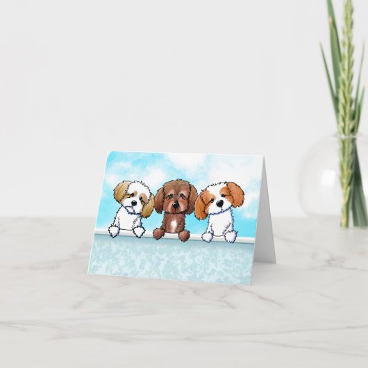 Shih Tzu Trio Bedankt (Voorkant)